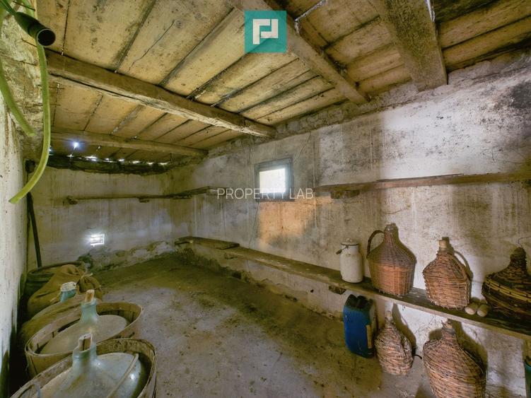 Proprietate rară cu 24.270 mp, în Măgulicea, Arad! - 15
