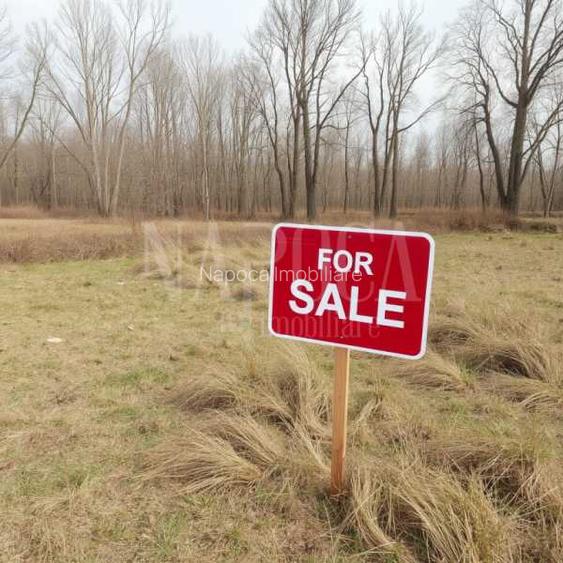 Teren intravilan pentru constructii de vanzare in Dambul Rotund, Cluj Napoca - 5