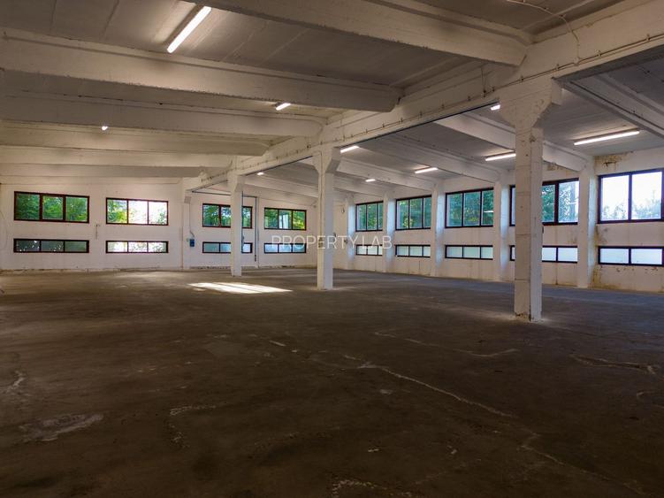Hală industrială cu multiple destinații în Nădlac - 35