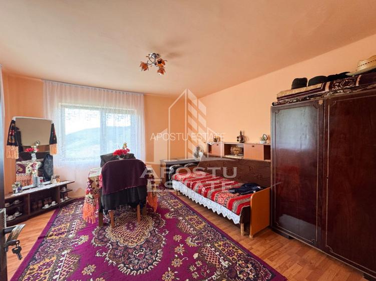 Casa la munte, la cheie, priveliste panoramica, in sat Ret, Hunedoara - 15