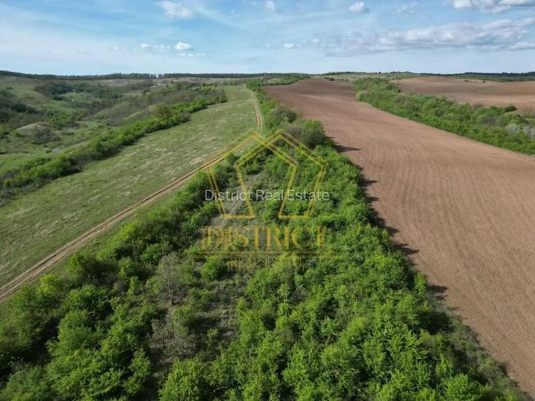 Casa de vacanta cu teren si padure de 3.8ha | Nadas | Herneacova - 10