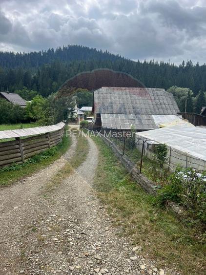 Teren 6,865mp Voroneț / Gura Humorului / Bucovina - 8