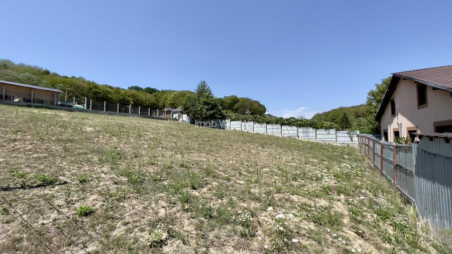 Teren Intravilan de Vis in Bascov, la Marginea Padurii! - 3