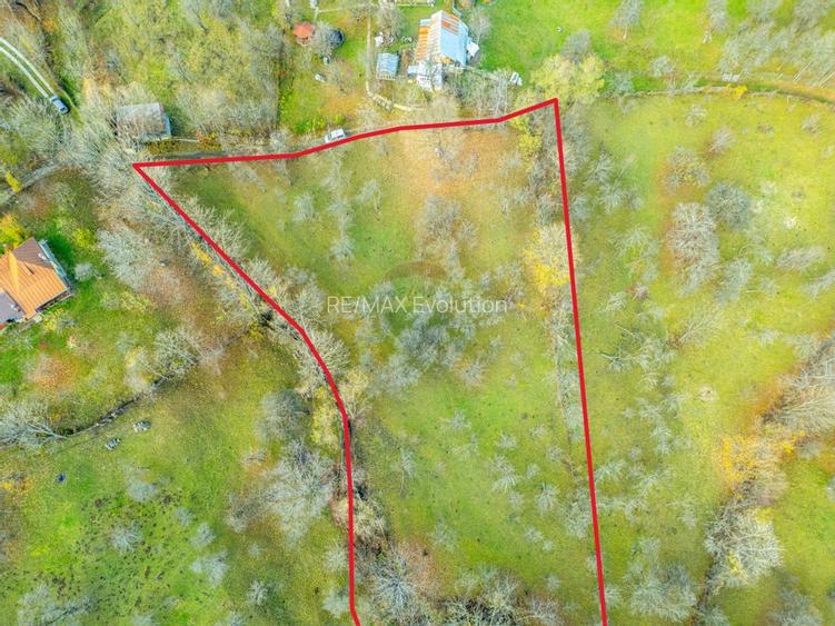 Teren intravilan 4384 mp – Comuna Talea,  județul Prahova - 6