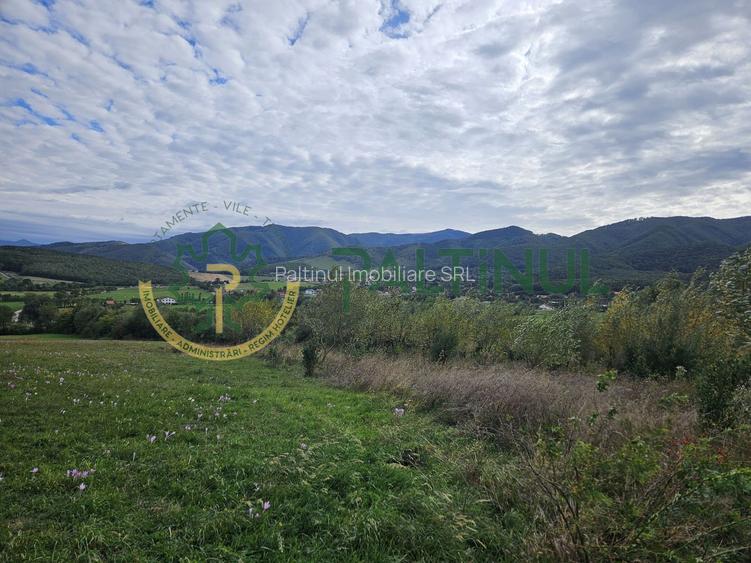 Teren de vanzare ,Tocile, Sibiu, case de vacanta si locuinte - 11