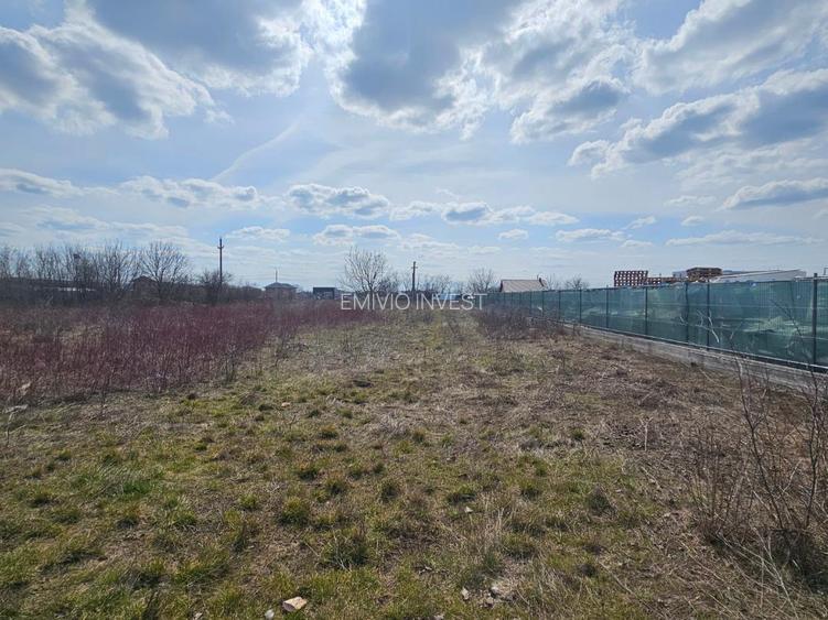 Terenuri de închiriat cu deschidere la DJ 100 – suprafețe generoase, acces TIR. - 11