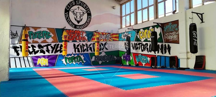 Spațiu de închiriat pt sala dansuri, gimnastica, sala sport -- 220mp - 5