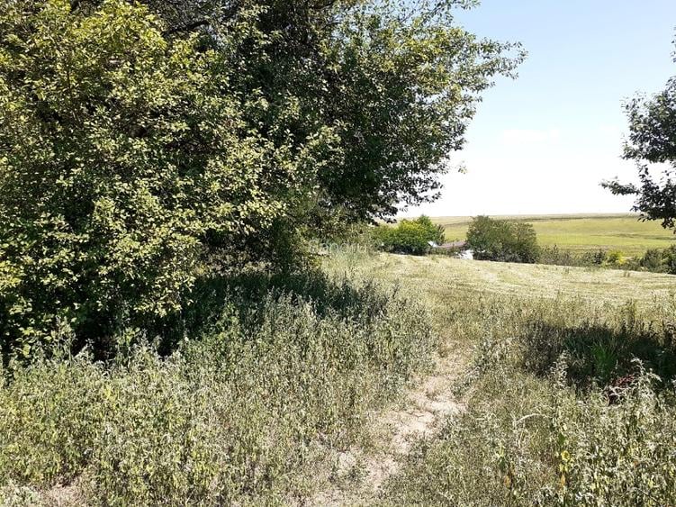 Vand teren parcelabil, pe malul lacului Mostistea, 2400mp, in Belciugatele - 6