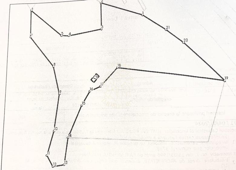 Teren 17898 mp + casa 58 mp-ideal fonduri europeane-Ilva Mica - 2