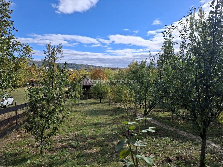 Priveliste de vis, 5 camere + anexe, teren 7000 mp, gata de mutat - comision 0%! - 6