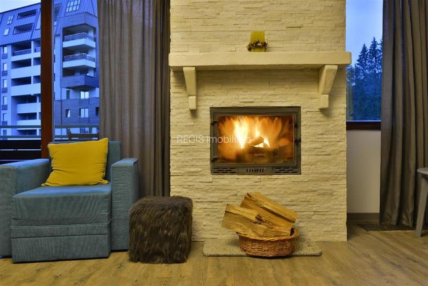 Apartament confortabil 3 cam Silver Mountain - 13