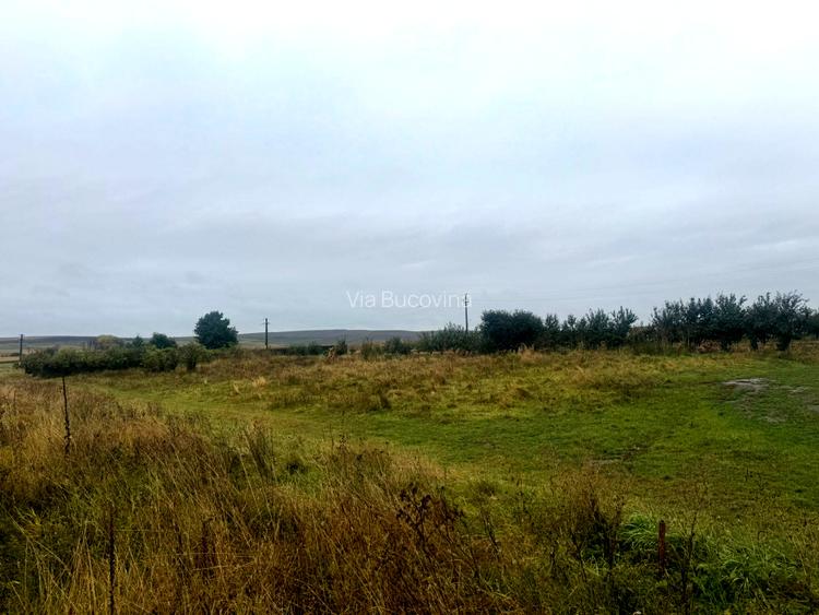 Vanzare 10.000 mp teren Liteni Suceava- la strada -potrivit proiect fonduri - 18