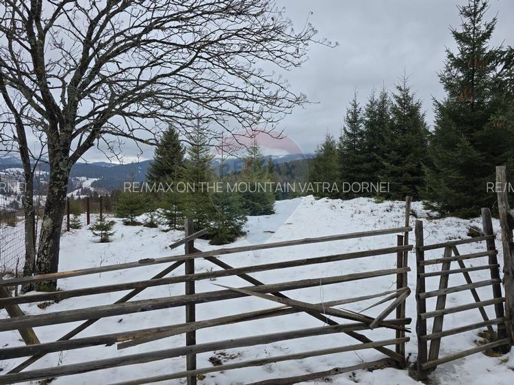 Teren 3,868mp Dorna-Arini / Strada Principala - 4