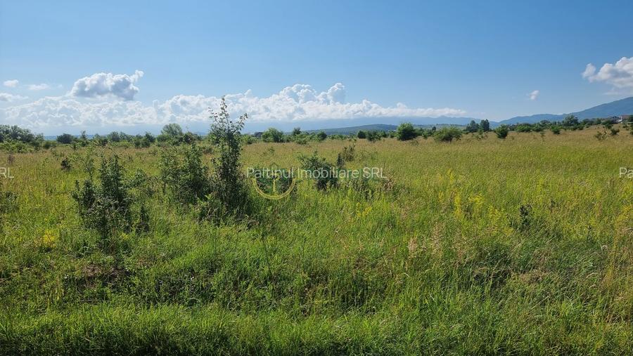 Teren de vânzare în Calea Cisnădiei, Sibiu – 550 mp, PUZ aprobat, vedere superbă - 6