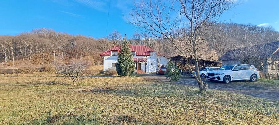 Propriete superbă la marginea pădurii în Râșnov Primăverii 5,000 mp - 23