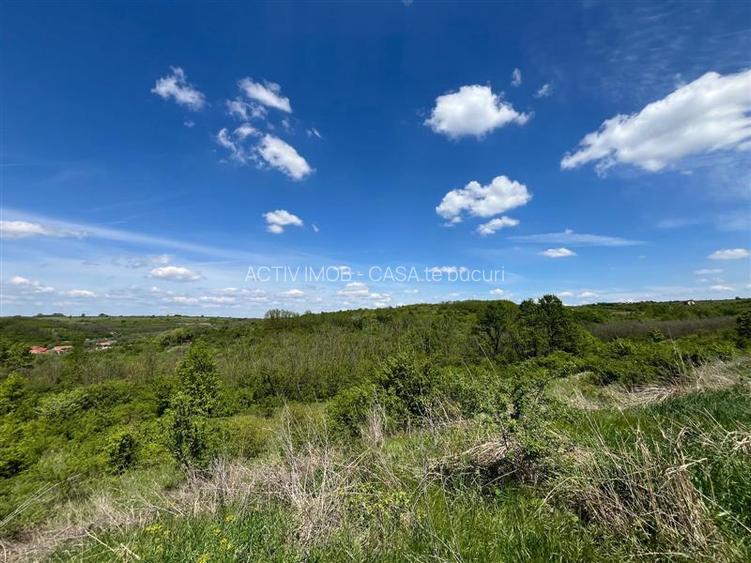 Lugoj Teren  8.200 Mp., Dealul Viilor, Priveliste Impresionanta - 12