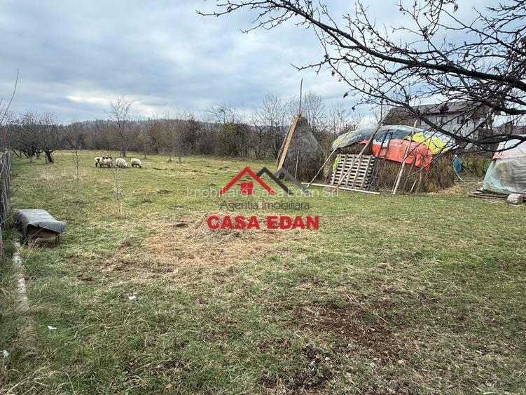 Teren intravilan in Brebu--2080mp--22e - 4