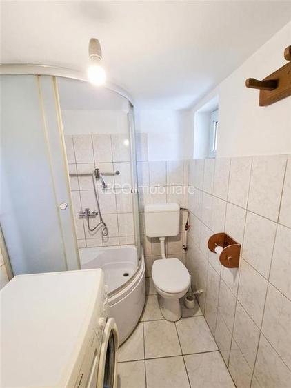 RECO Teren mare cu 2 case in Sabolciu, com. Sacadat - 7