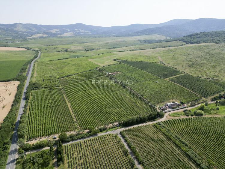 Vie Tradițională „Halta Lupilor” - 33