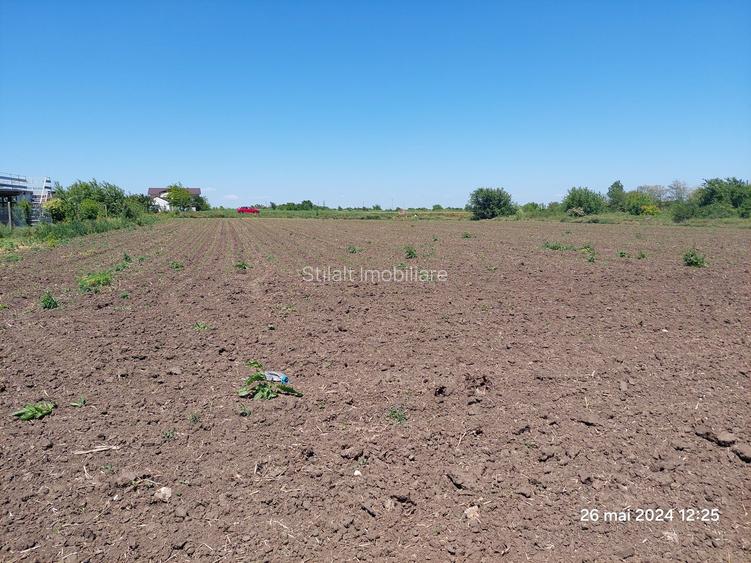 Teren  intravilan  540 mp / Vama Veche - 8