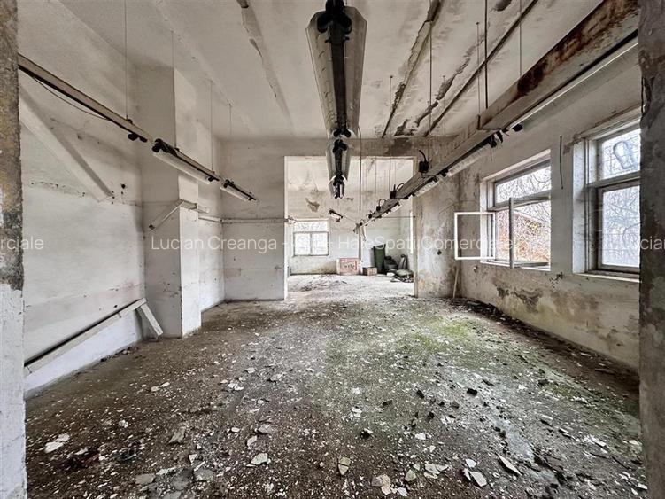 Hala, spatiu comercial, vad, de la 423mp la 1744mp, Vama Albita - 25