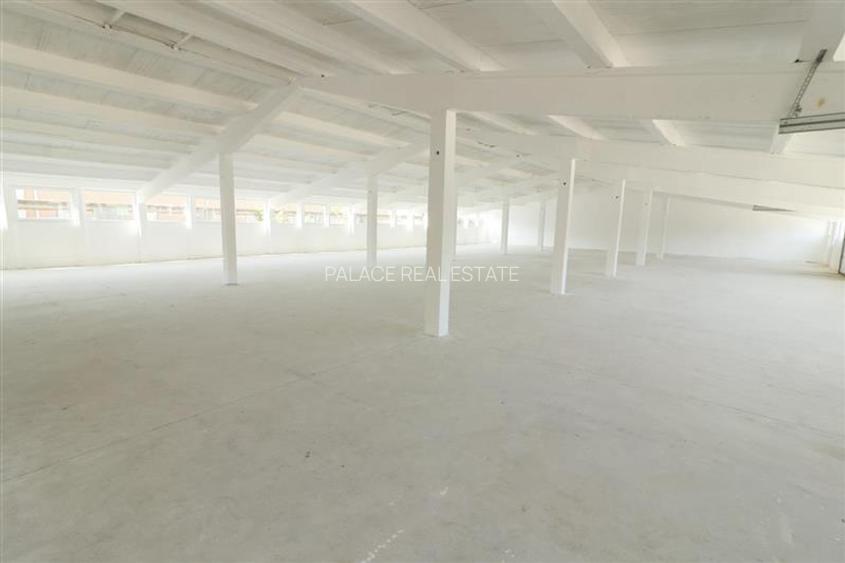 Hala 410 mp, renovata complet, Tomesti - zona industriala - 2