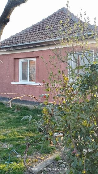 Vând Casa in satul Amati - 2