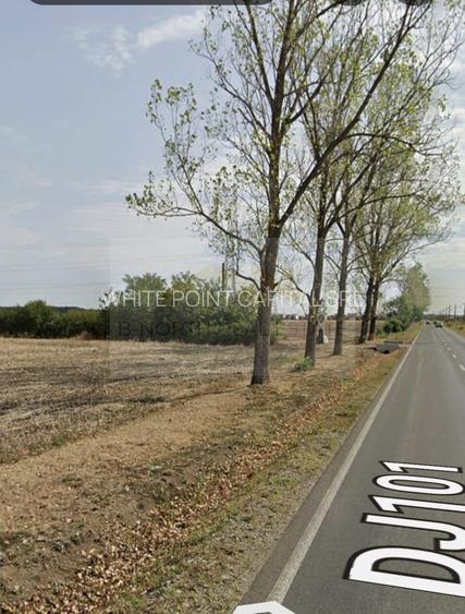 Teren de vanzate-intravilan -Balotesti-151.021 mp - 3