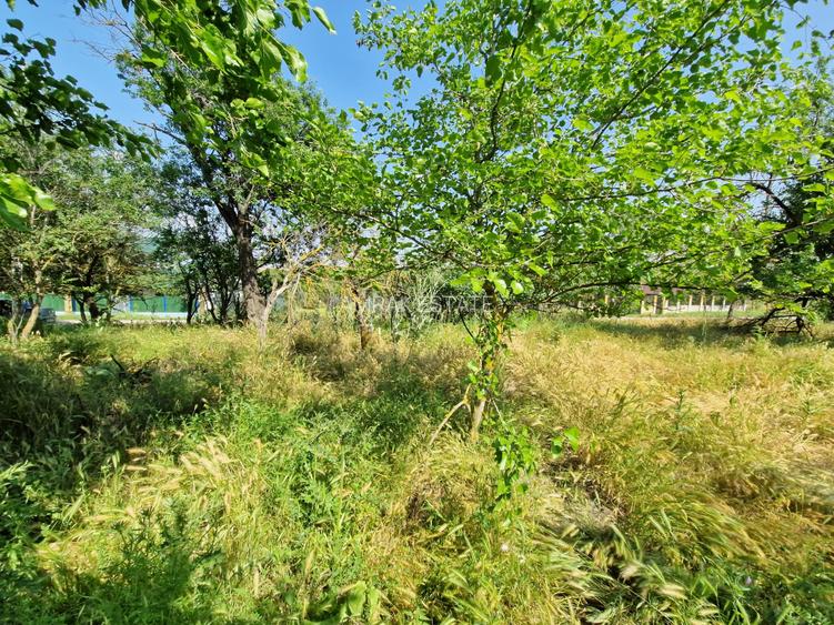 Teren langa lac - 40 km de Bucuresti - 2