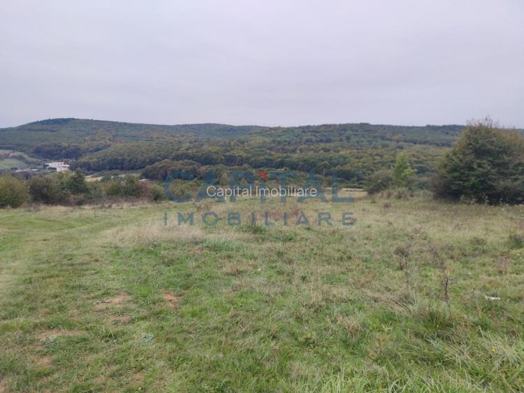 Fara comision! Teren 1000 mp, front 25 ml, PUZ in lucru, zona buna, Feleacu - 5