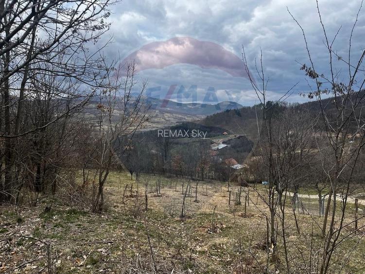 Teren intravilan 12.458 mp în Văleni (Meteș) - 4