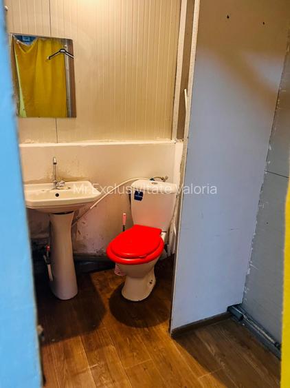 Spatiu comercial stradal, pozitie strategica – N. Balcescu, zona Piata Centrala - 16