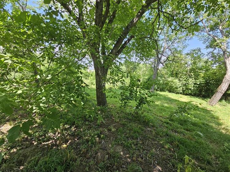 Casa spatioasa de vanzare in centrul satului Racaciuni – teren generos, livada, - 16