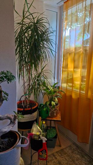 Apartament cu 2 camere  - 3