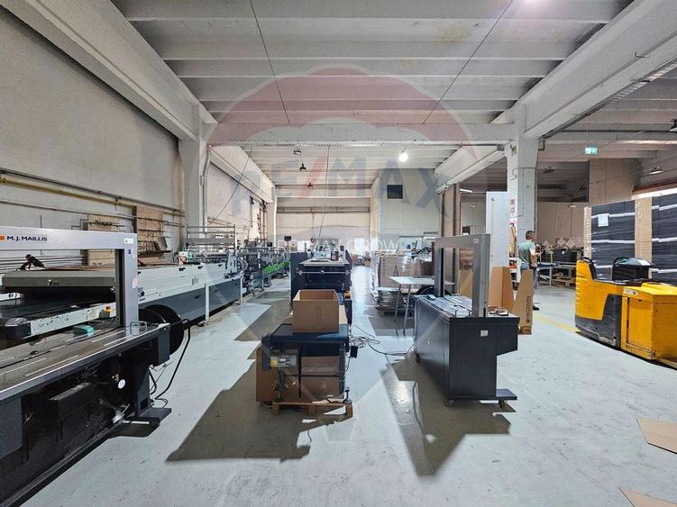 Hale Industriale 5065 mp de vanzare Str. Bradului - Bacau - 7