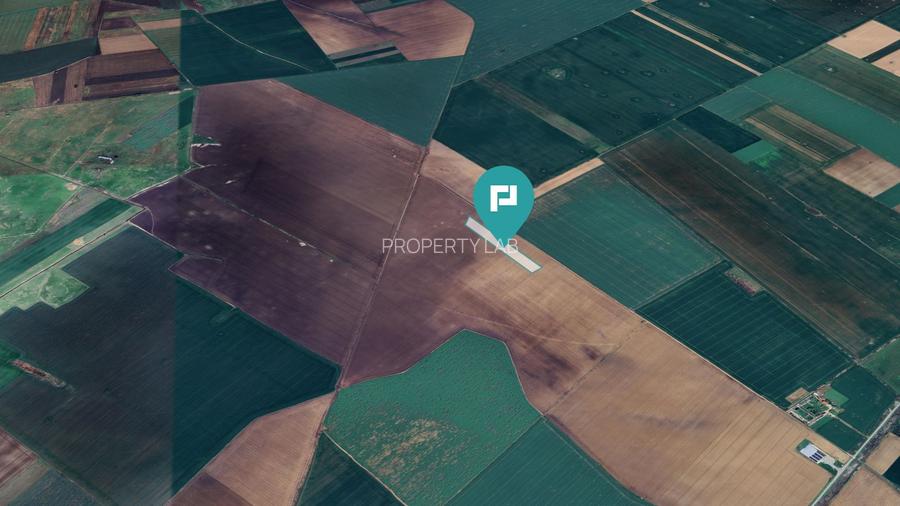 Teren 36.000 mp în Peciu Nou - 3