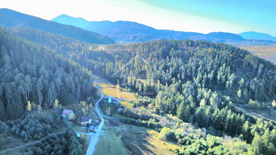 Teren Intavilan I Poiana Angelescu Sacele - 20