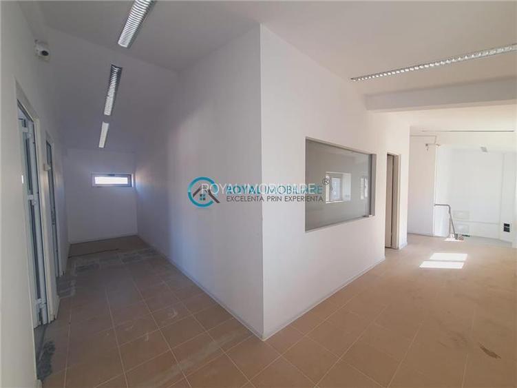 Royal Imobiliare - Inchiriere Spatiu Industrial zona Vest - 7