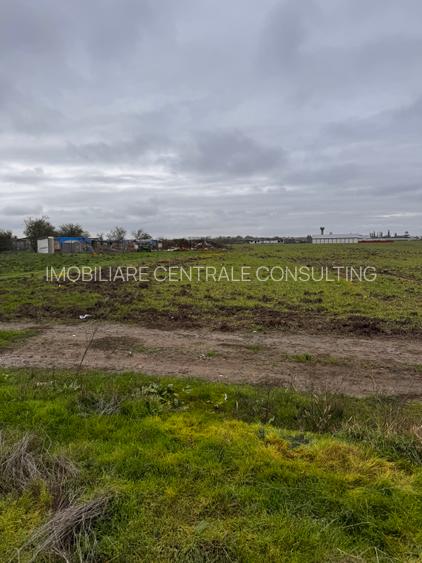 Teren construibil la 20 de metri de utilitati - 3
