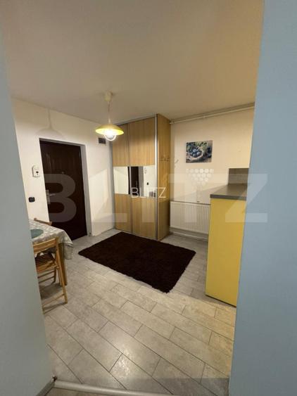Apartament 2 camere, 53 mp, zona Muzeul Apei - 8