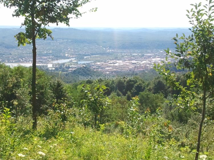Teren livadă cu panoramă superbă Dealul Malului pentru casă sau cabană - 19