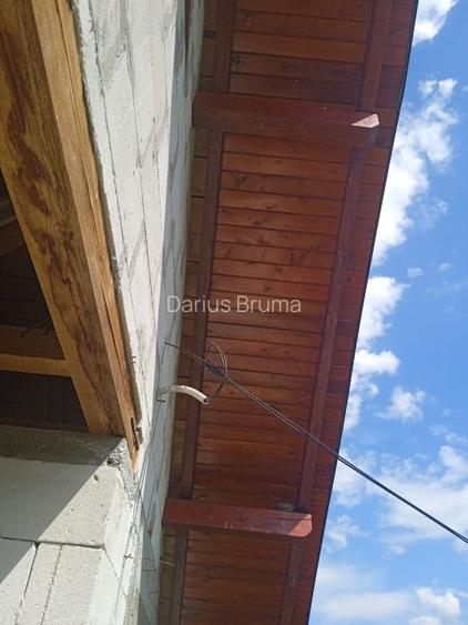 Casă cu teren 10000 mp - 13