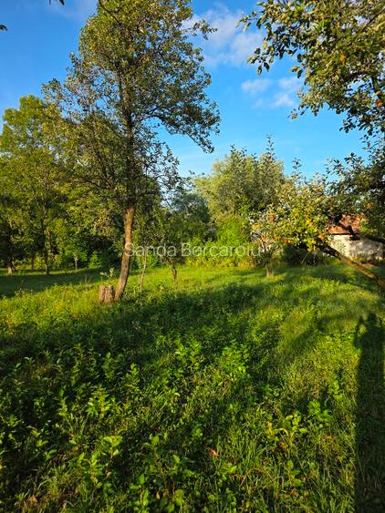 Teren 2500 mp – POTENȚIAL BUSINESS / DEZVOLTARE – Breaza - 11