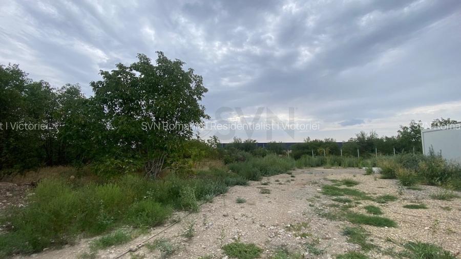 REL4001019 Teren 10 ha langa Kaufland si Crevedia Retail Park - 7