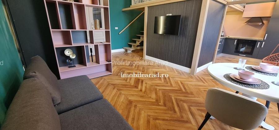 Apartament exclusivist km0, luxury class, 450 lei pe zi, max. 4 persoane - 6