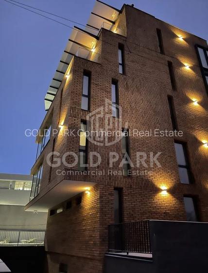 Spatiu de Birouri/Cladire de Birouri-Zona Europa-Garaj/Parcari/Curte - 16