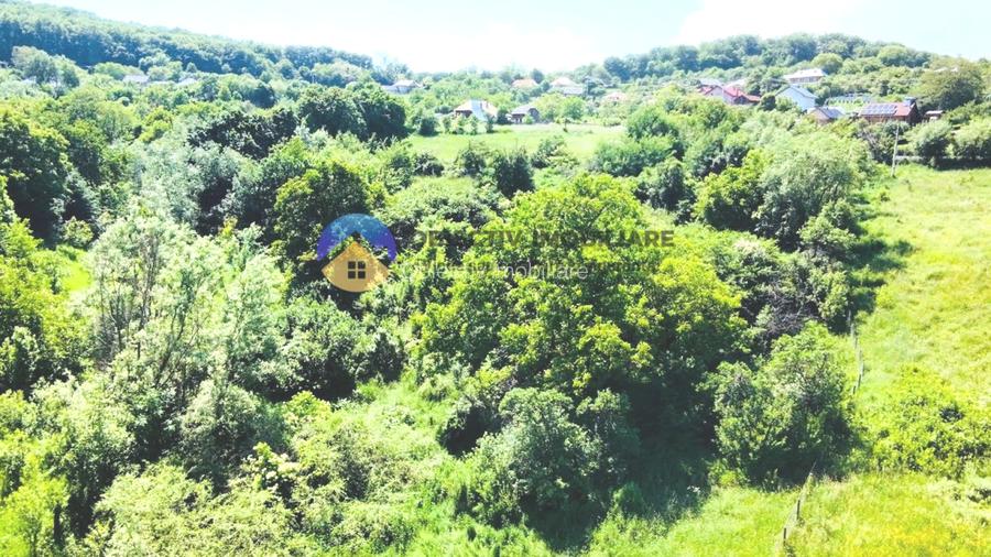 TEREN intravilan + casa  DOBRENI - SARATA - 5