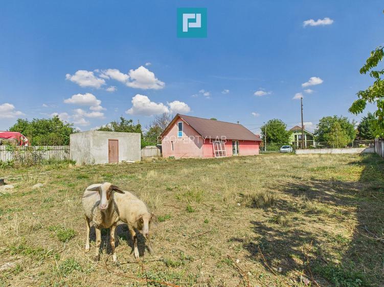 Casă/spațiu comercial pe DN79 în Zimandu Nou - 7