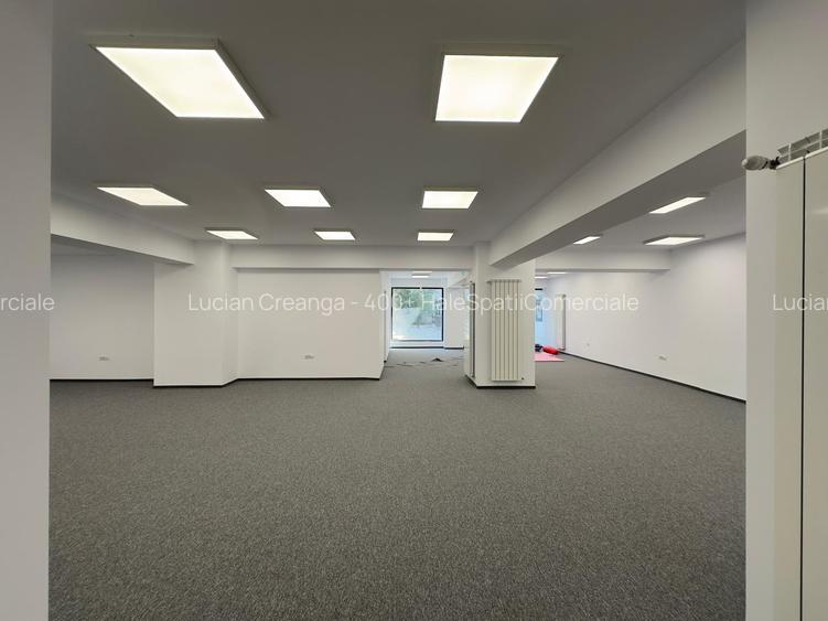 Spatiu comercial 172mp, central, langa Regina Maria - 17