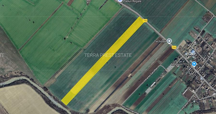 Cel mai bun pret! 1.5 ha, lot teren localitatea Nuci, Ilfov - 3
